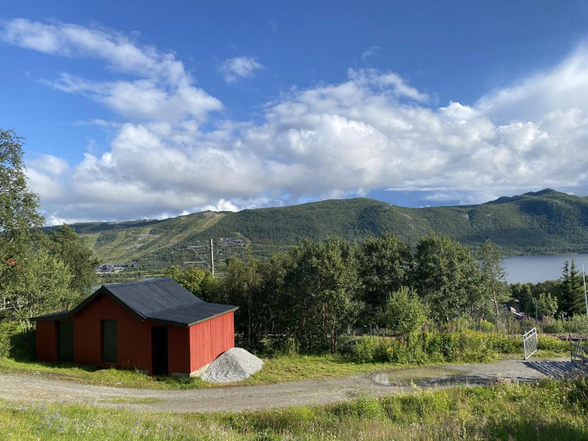 Cottage Yard - Cozy Cabin Geilo Exterior foto