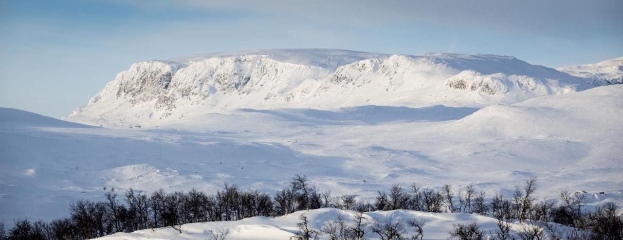 Cottage Yard - Cozy Cabin Geilo Exterior foto