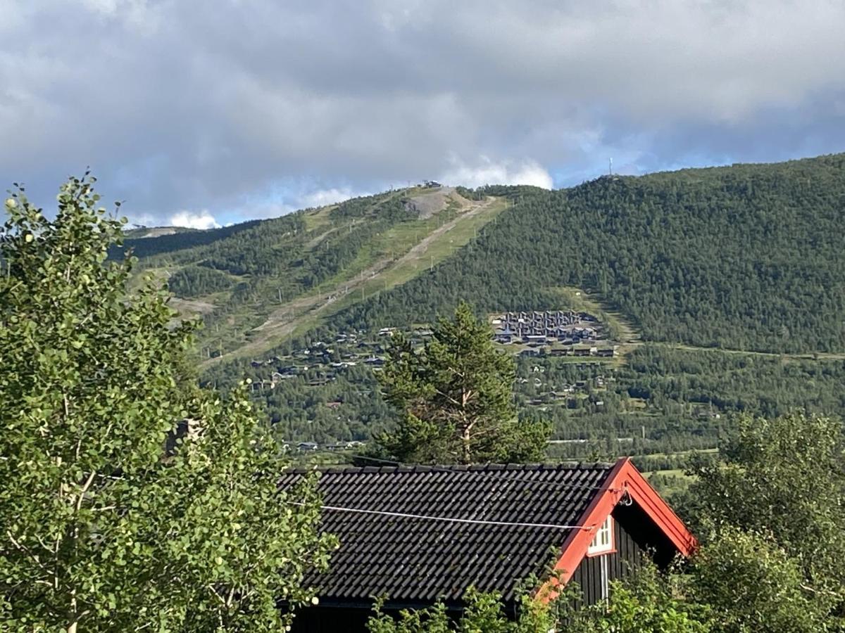 Cottage Yard - Cozy Cabin Geilo Exterior foto